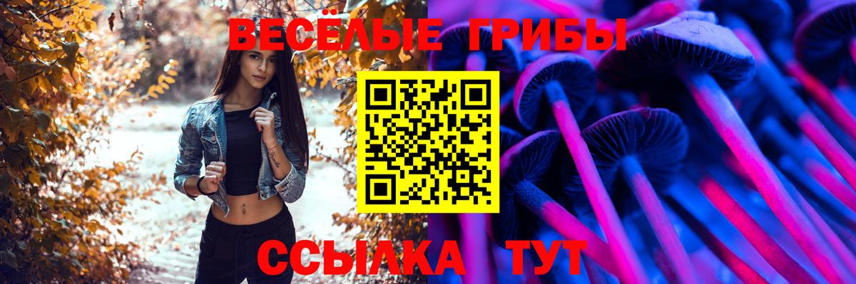 Галлюциногенные грибы Psilocybe Александров